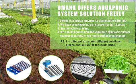 Omana Aquaponic Growing Systems Aquaponics System Farm Aquaponics