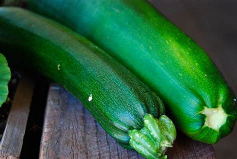 How To Cook Zucchini On The Stovetop • Longbourn Farm