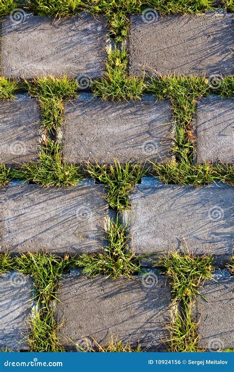 Beautiful Grass And Beton Texture Stock Photo Image Of Decoration