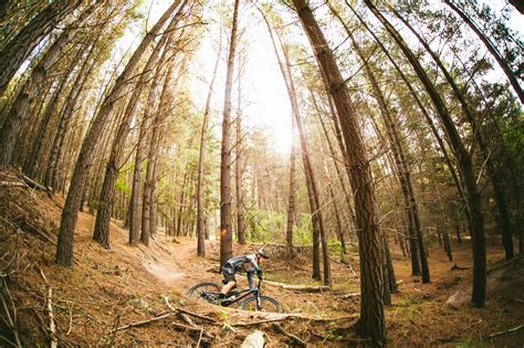 Best Mountain Bike Trails In Victoria Flow Mountain Bike