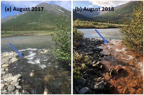 Melting Permafrost Is Dumping Toxic Metal Into Alaska S Rivers