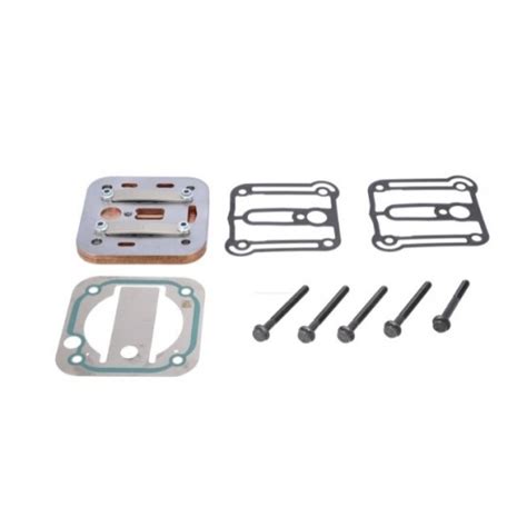 Kit Joints Clapets Plaque De Soupape Pour Compresseur D Air Pour Man