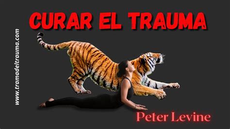 Curar El Trauma De Peter Levine Descubre Tu Capacidad Innata Para