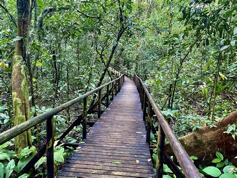 Costa Rica Les Plus Beaux Parcs Naturels Visiter