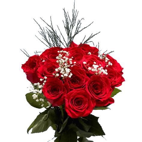 One Dozen Roses Free Delivery Globalrose