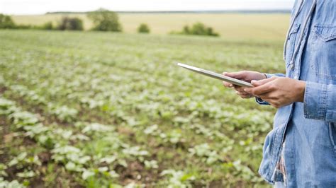 El Futuro Del Sector Agroalimentario La Agroindustrialización