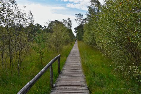 Wanderweg in der Lüneburger Heide Weltenbummler