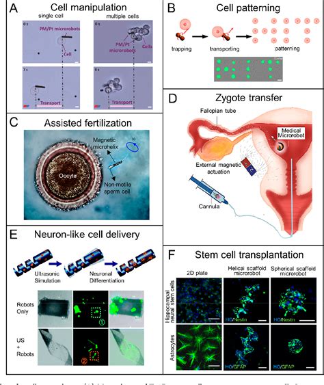 Magnetically Driven Micro And Nanorobots Semantic Scholar