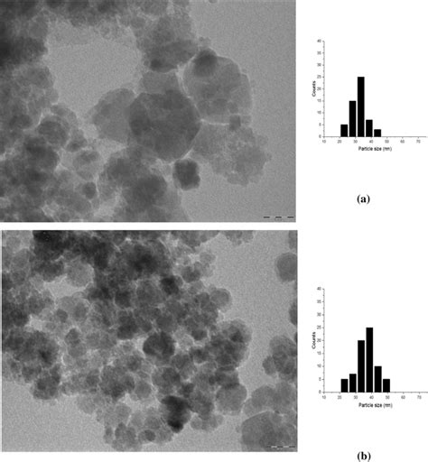 Tem Image And Particle Size Distribution Histograms Of A Cofe2o4