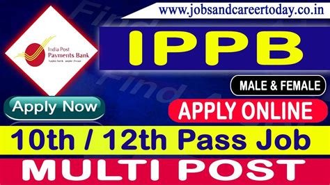 Ippb Job Indian Post Executive Recruitment No Exam Ippb