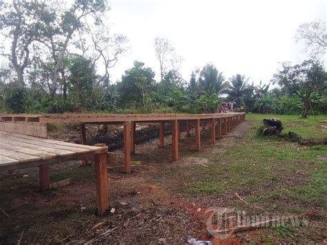 Tni Bersama Warga Gotong Royong Bangun Dermaga Kampung Yakyu Foto