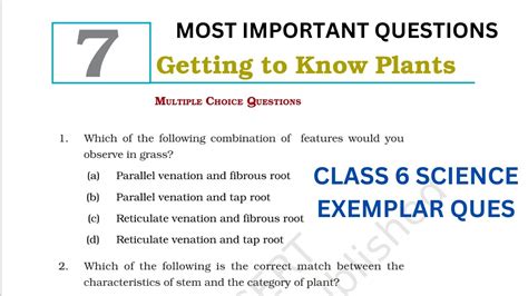 Best Mcq Class Getting To Know Plants Ncert Class Science