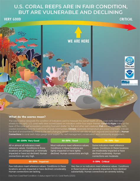 NOAA's Coral Reef Conservation Program (CRCP) - U.S. coral reefs are in fair condition, but are ...