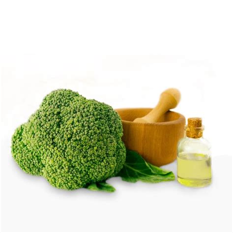 Buy Bulk Broccoli Seed Oil Virgin 20 Kg Jedwards International