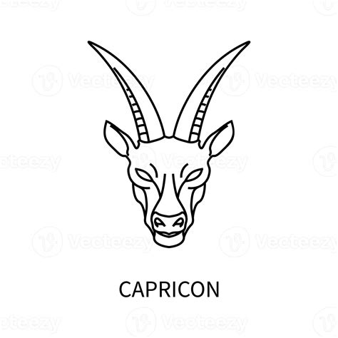 Capricorn Horoscope Symbol In Twelve Zodiac Constellation Isolated