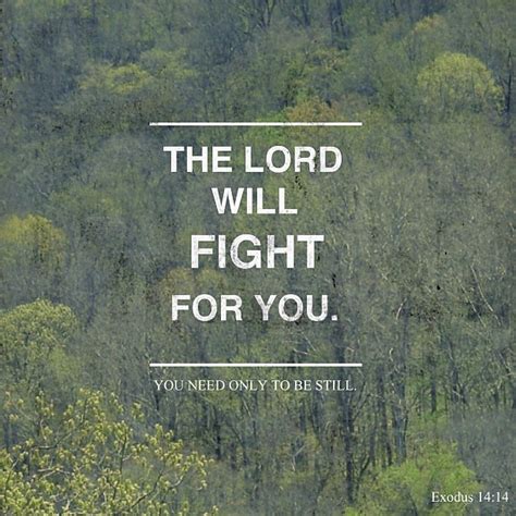 The Lord Will Fight For You You Need Only To Be Still Exodus 14 14