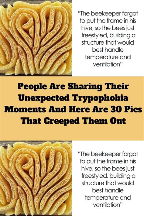 People Are Sharing Their Unexpected Trypophobia Moments And Here Are 30 Pics That Creeped Them