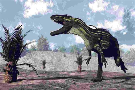 Carnivorous Dinosaurs Europe The Key Groups Of Predators Adventure