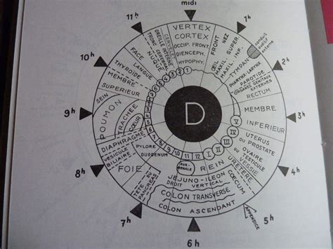 Comprendre L Iridologie Votre Sant Par La Nature Sant Hygiene De