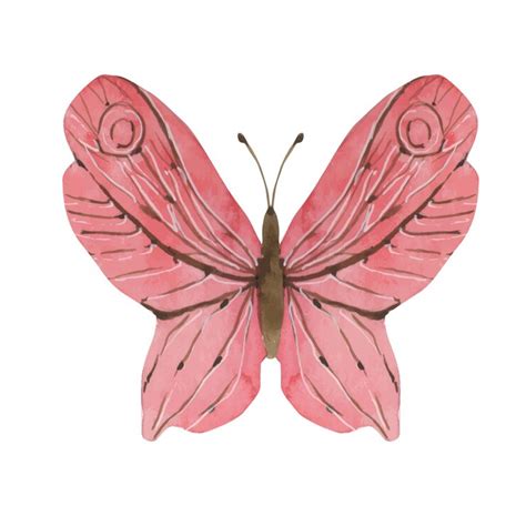 Premium Vector | Beautiful butterfly watercolor illustration