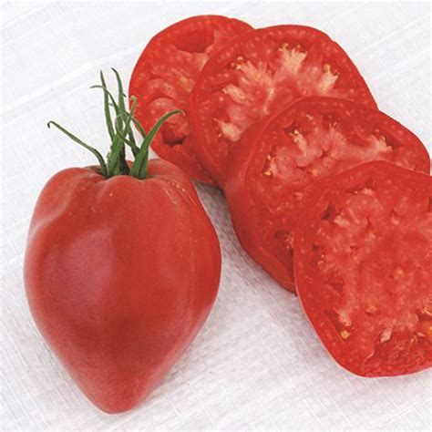 Pink Oxheart Tomato Misty Valley Farm Inc