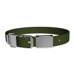 Pet Collar + Name Tag - Large – The Hunted Co