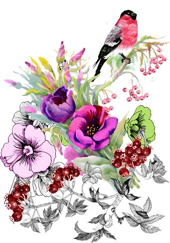 Watercolor Drawn Birds With Flowers Vector Design Vectors Graphic Art