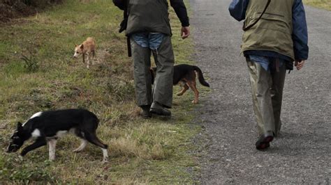 Ecologistas Piden A La Xunta Prohibir La Presencia De Menores En