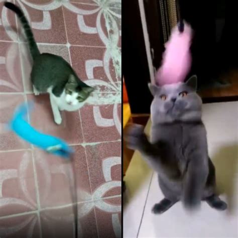 Gato Juguetes Para Mascotas De Juguete De Plumas Pelo Gatos De Pl Stico