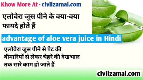 Aloe Vera Juice एलोवेरा जूस के फायदे एलोवेरा जूस पीने के जबरदस्त 7 फायदे Civilzamal