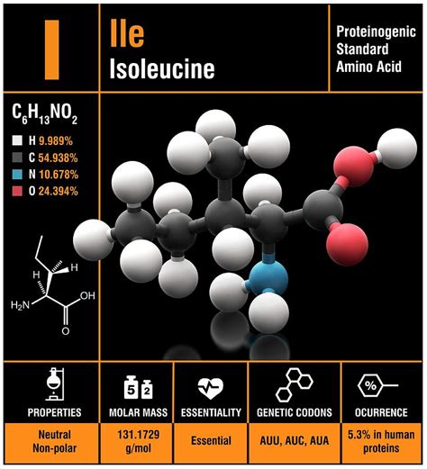 Isoleucine Amino Acid Molecule Photograph By Carlos Clarivan Science