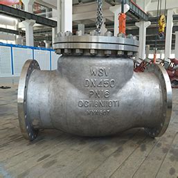 Hastelloy Check Valves Manufacturer Company Wsv Valve