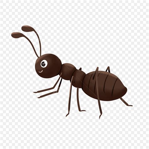 Hand Drawn Cartoon Ant PNG, Vector, PSD, and Clipart With Transparent ...