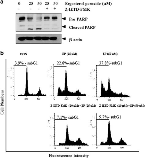 Effect Of Caspase Inhibitor Z Ietd Fmk On Parp In Ep Treated Du