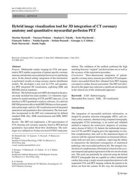 PDF Hybrid Image Visualization Tool For 3D Integration Of CT Coronary