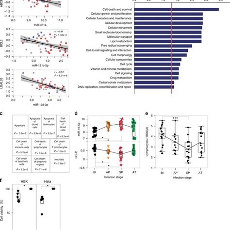 Integrative Analysis Of Mirna Mrna And Functional Annotation A Examples