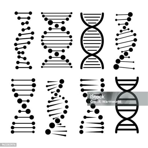 Dna 아이콘입니다 스톡 벡터 Dna에 대한 스톡 벡터 아트 및 기타 이미지 Dna 개념 개념과 주제 Istock