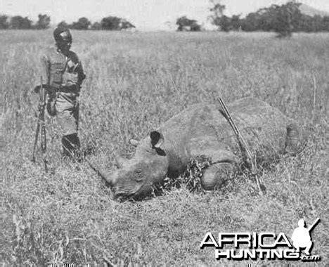 1909 Mombasa Nairobi Theodore Roosevelt Hunting Rhino - My Photo Gallery