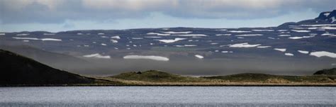 Report from Iceland: A “smoke” of midges – eCALS