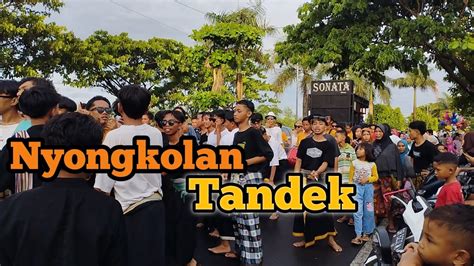 Nyongkolan Super Padat Dan Gacor Bersama Kecimol Sonata Indonesia Youtube