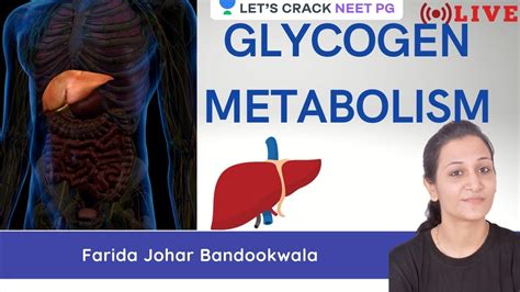 Glycogen Metabolism Neet Pg Farida Johar Bandookwala Youtube