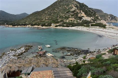 Image De Plage Avec Un Ours Polaire Qui Cache Quelque Chose Sur Notre