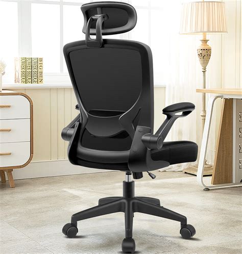 Biggzia Ergonomic Office Chair, Mid-Back Computer Chair with Adjustable ...