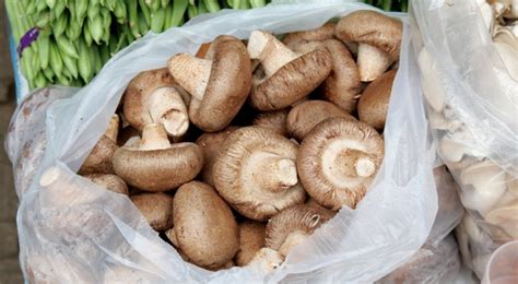 Eviter La Moisissure Sur Les Champignons Voici Comment Les Conserver