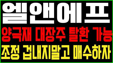 엘앤에프 066970 양극재 대장주 탈환 가능 조정 겁내지말고 매수하자 Youtube