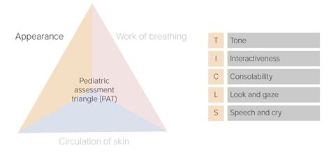 Pediatric Assessment Triangle Lecturio Nursing