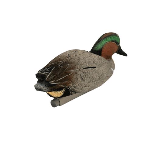 Flight Green Wing Teal Tanglefree Shop
