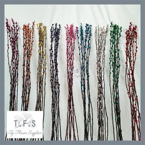Jual Pcs Cm Dried Pussy Willow Large Bunga Imlek Dekorasi Chinese New Year Decoration