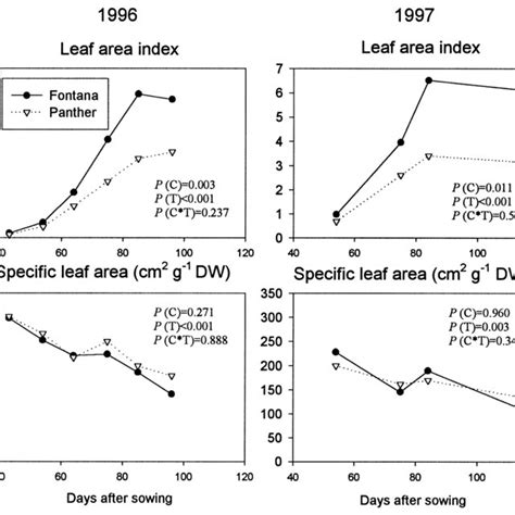 Development Of Leaf Area Index And Specific Leaf Area During The