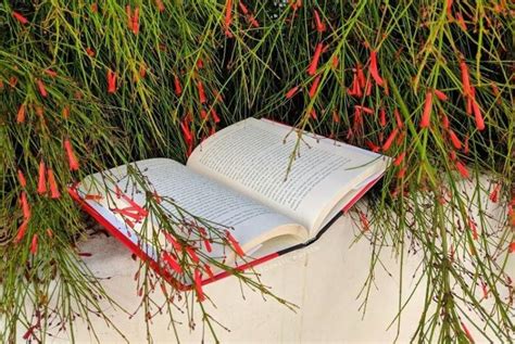 Booklist Queen Embrace The Book Life Reading Challenge Best Books